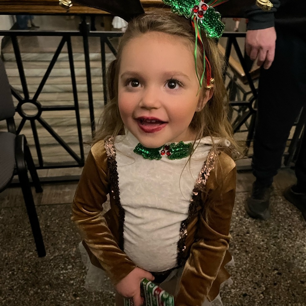 Christmas recital/pageant dress